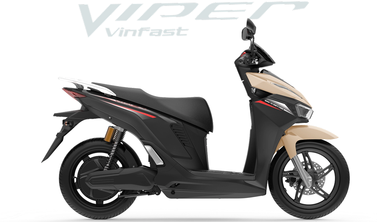 NISPA VERA X